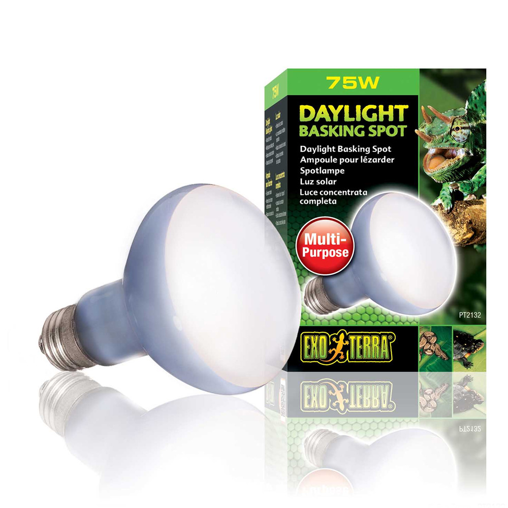 Exo Terra Daylight Basking Spot 75W Żarówka Grzewcza do Terrarium